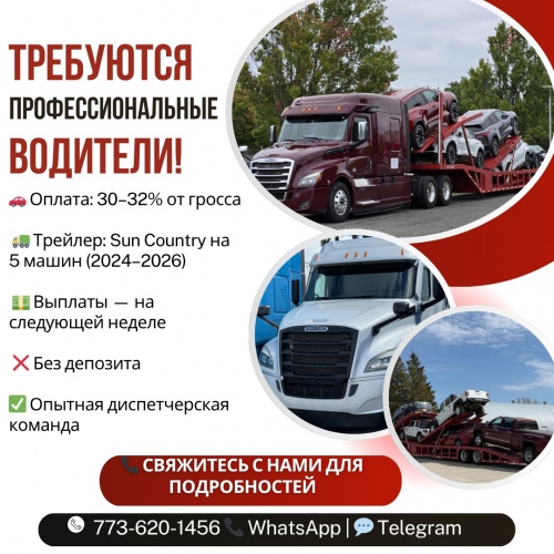 CDL водитель на кархоулер sun country trailer 