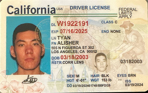 Предостережение для овнеров траков и компаний