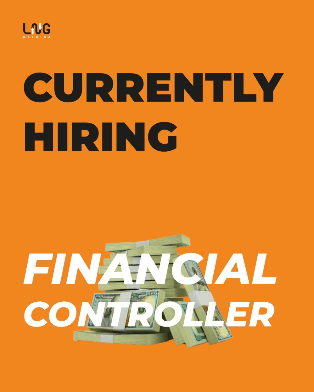 Looking for Financial Controller