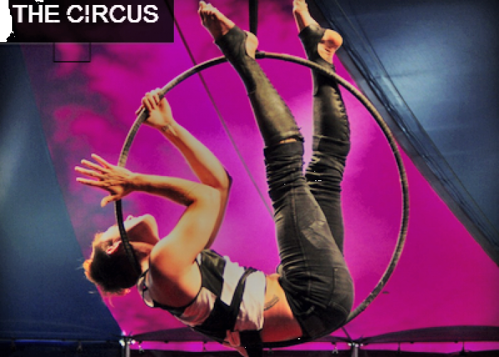 Цирк в парках Чикаго