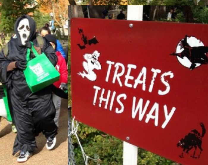 Халовин в Зоопарке