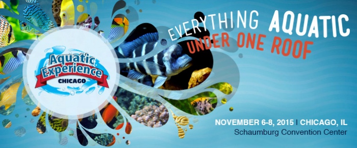 Aquarium show ($10+ дети до 5 лет бесплатно)